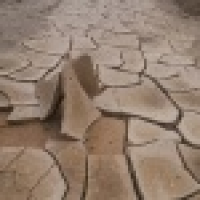 植发星黑丝控c52