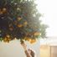 植发星meb1h9ow8em