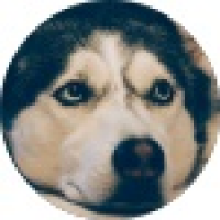 植发星默默坚持p