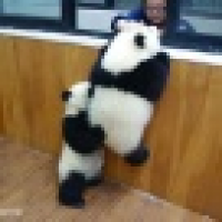 植发星巨蟹qwe1234600