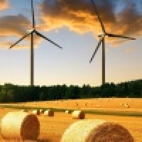 植发星头发厚厚的