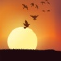 植发星k_hmylm0110