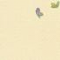 植发星灰灰漠泷