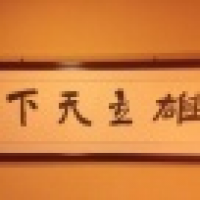 植发星乖乖不疼