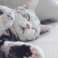 植发星琳大小姐223