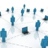 植发星小风爱小灰0270