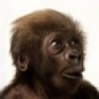 植发星人人爱我77