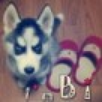 植发星langxiyan316