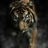 植发星jxshansshan97