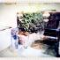 植发星血盟孑孑Gm814