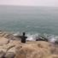 植发星假如爱随人愿nQ