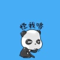 植发星风纪社001AA