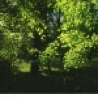 植发星科发源植发2014