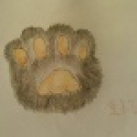 植发星那堪更被明月