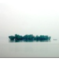 植发星黎约未央686