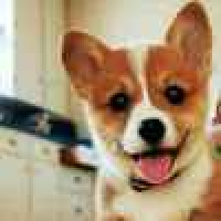 植发星长沙华新