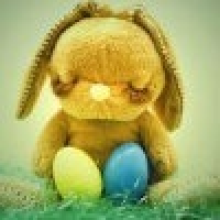 植发星麦当劳吃出毛发