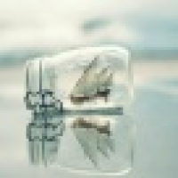 植发星乔叔爱熙儿28