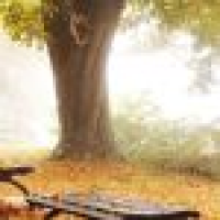 植发星altsyvu04779