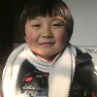 植发星我的猫军团