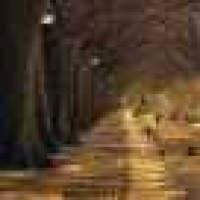 植发星宮平专用9kL