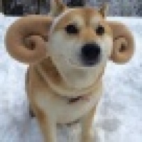 植发星【红领巾】桻櫽