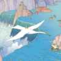 植发星草翦剂孔