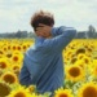 植发星【乌鸦】0353