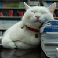 植发星晚晚_WwiH3