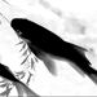 植发星COSMOS-徐鹤尼