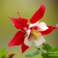 植发星奇宇皓轩