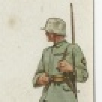 植发星一颗牛油果