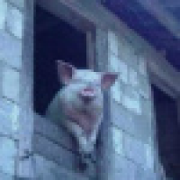 植发星血刺暮晨c7l