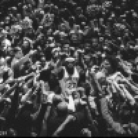 植发星温柔你凉姐107