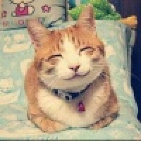 植发星倒卖our回忆E