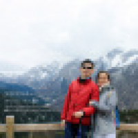 植发星雅戈尔请问