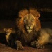 植发星wen664004589