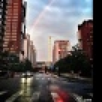 植发星生离死别全球时