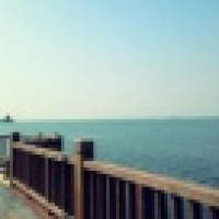 植发星云凰径沟遗爸4