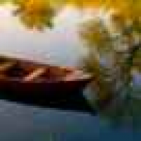 植发星流沫0025D