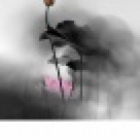 植发星我的天蝎主义