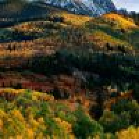 植发星Cream_Fregment