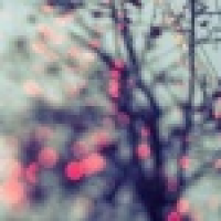 植发星念芯言的虚伪