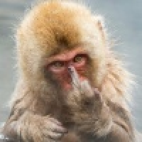 植发星轮回群ES9