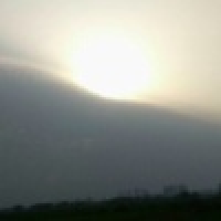 植发星凉兮Armani