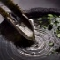 植发星chuanwen_wang