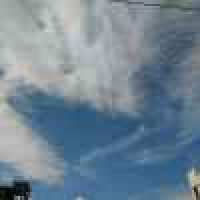 植发星小百合137