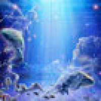 植发星花dd面2d乍