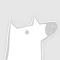 植发星财务公升