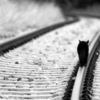  长夜不眠的故事